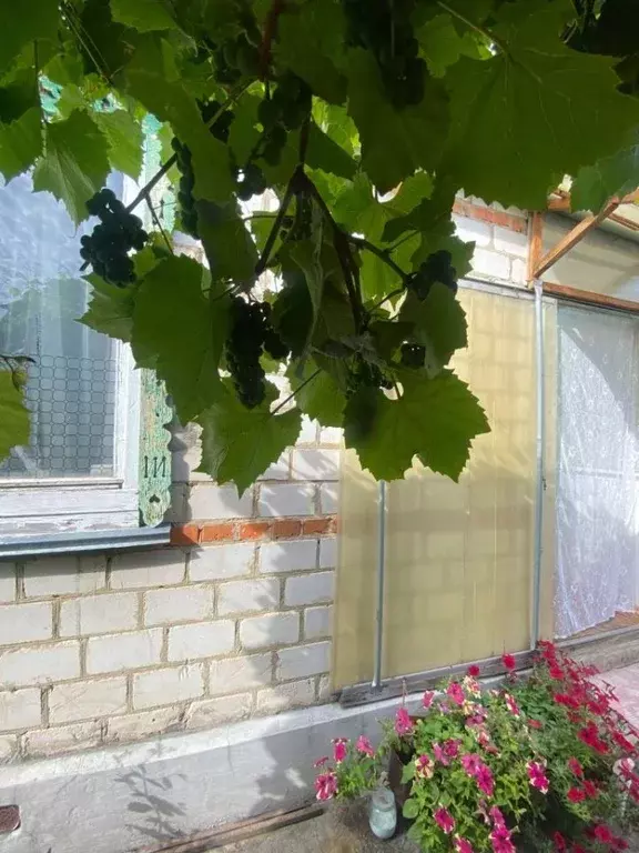 Дом в Орловская область, Орловский район, Долина Роз ДНТ ул. ... - Фото 1