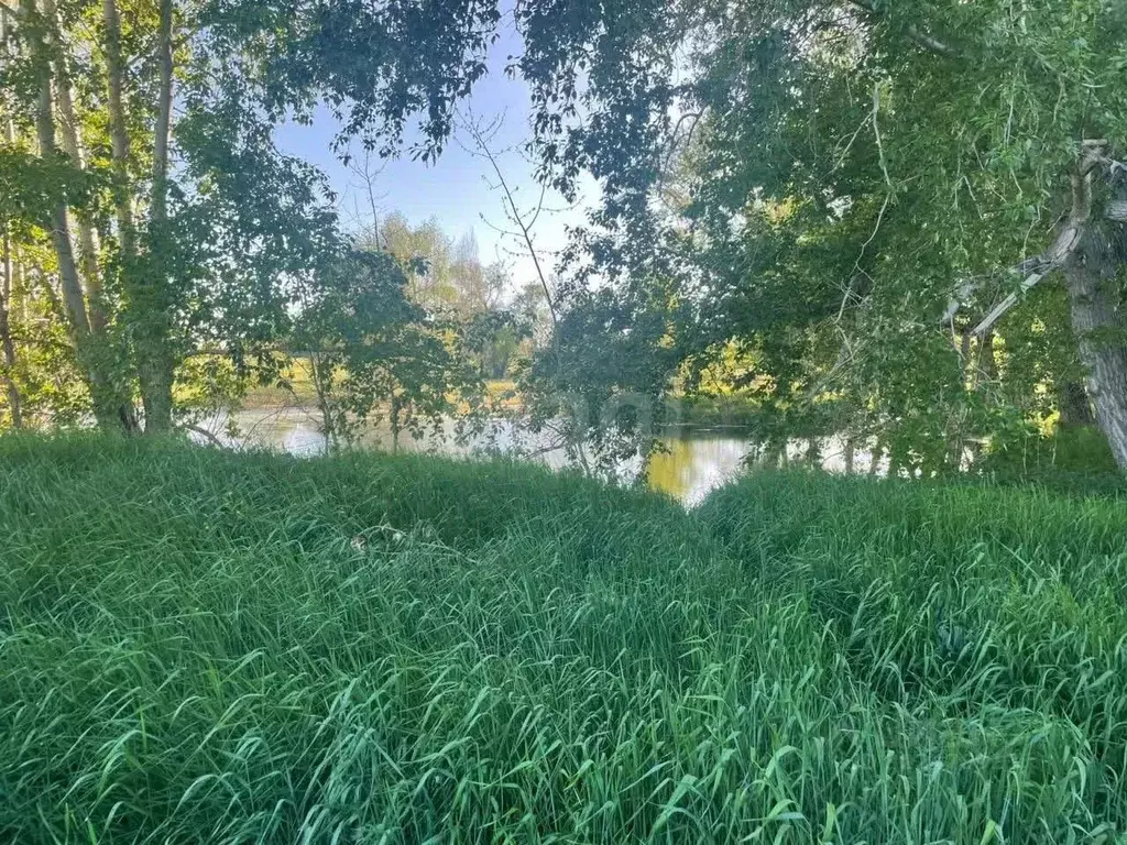 Участок в Челябинская область, Еманжелинский муниципальный округ, пос. ... - Фото 1