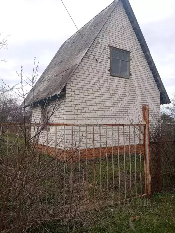 Дом в Курская область, Курский район, пос. Камыши  (39 м) - Фото 1