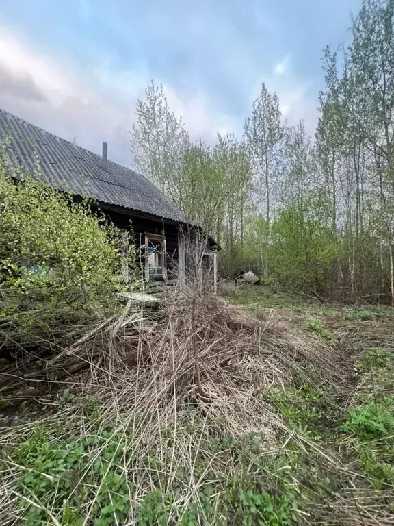 Дом в Брянская область, Брянский район, Нетьинское с/пос, д. Глаженка ... - Фото 2