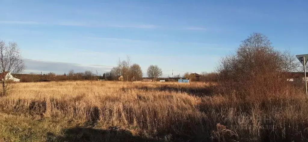 Участок в Вологодская область, Шекснинский район, Нифантовское с/пос, ... - Фото 1