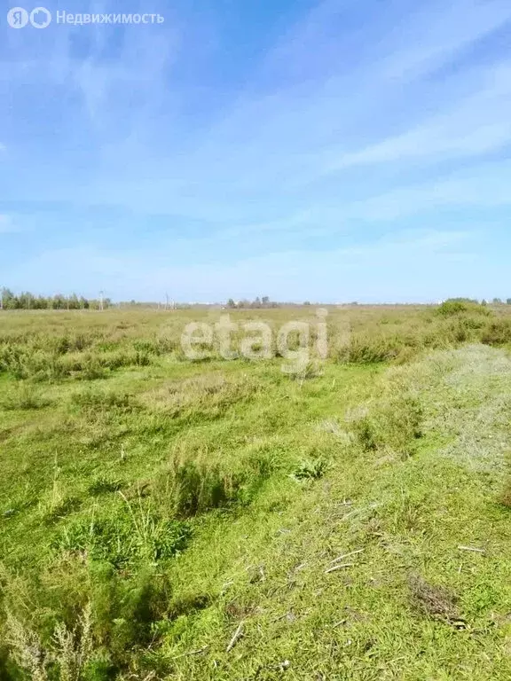 Участок в Курган, СНТ Датчанка (7.98 м) - Фото 2