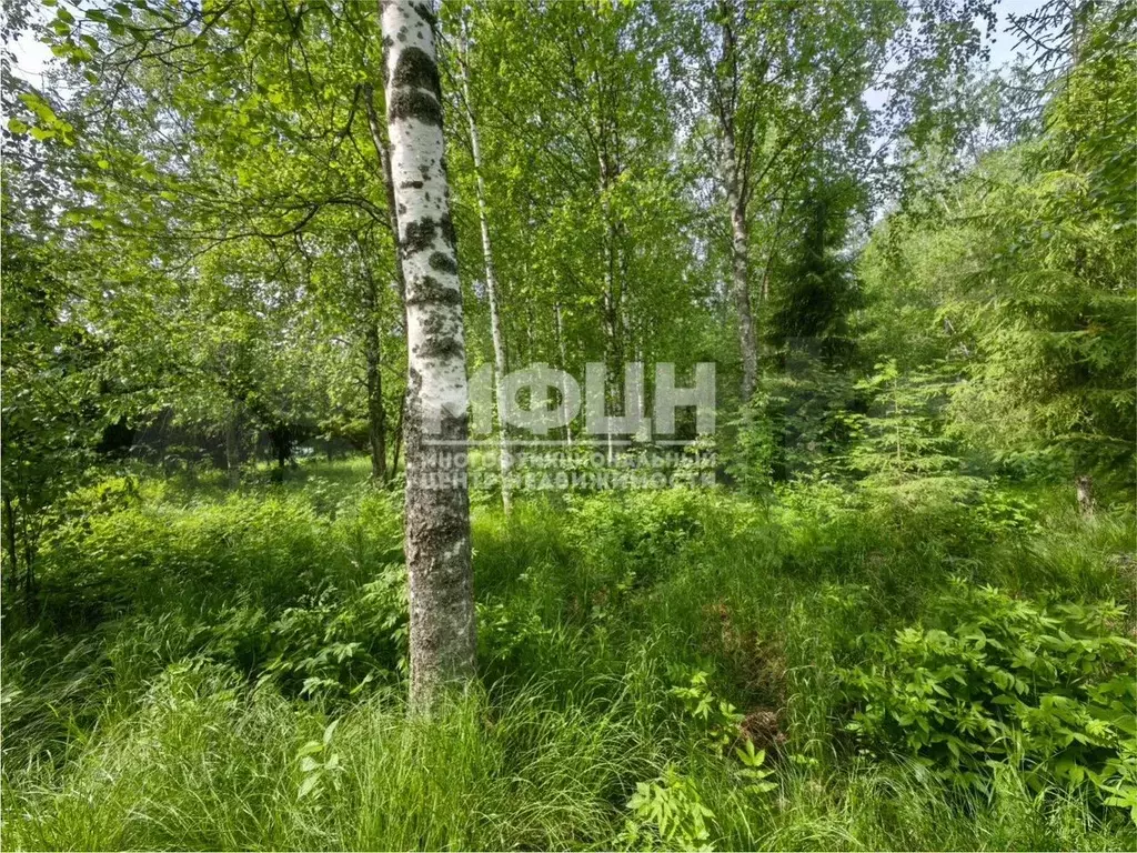 Участок 15 сот. (ИЖС) - Фото 1