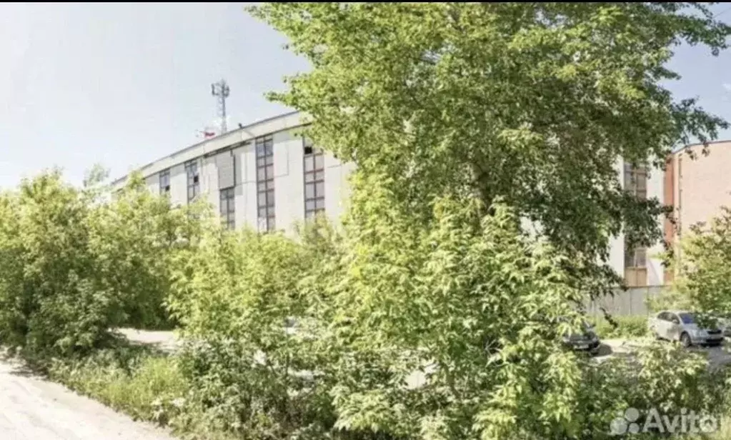 Склад в Свердловская область, Екатеринбург ул. Энтузиастов, 15 (55 м) - Фото 1