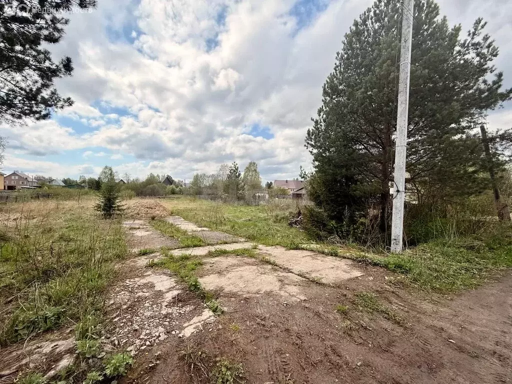 Участок в Костромская область, городской округ Шарья, деревня ... - Фото 1