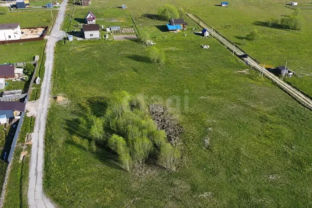 Участок в Вологодская область, пос. Грибково  (15.0 сот.) - Фото 2