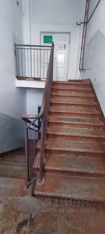 Помещение свободного назначения в Пермский край, Усолье Усольский ... - Фото 1