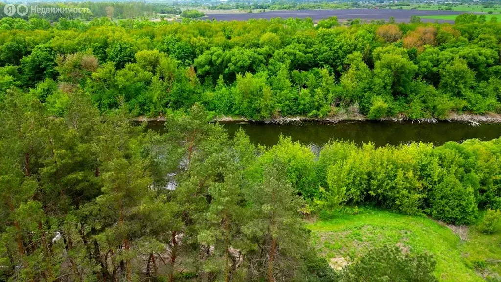 Участок в Курский район, Бесединский сельсовет, село Кувшинное (25000 ... - Фото 0