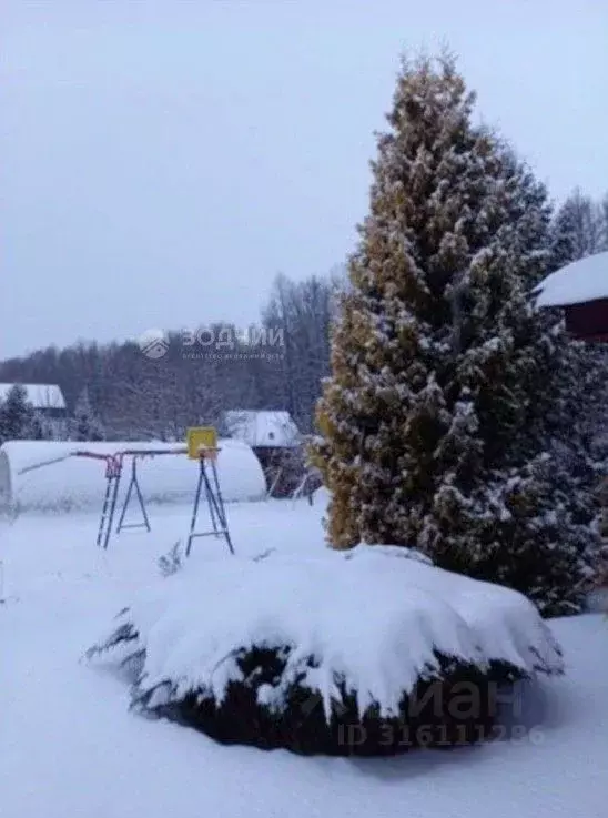 Дом в Чувашия, Моргаушский муниципальный округ, д. Шомиково  (80 м) - Фото 2