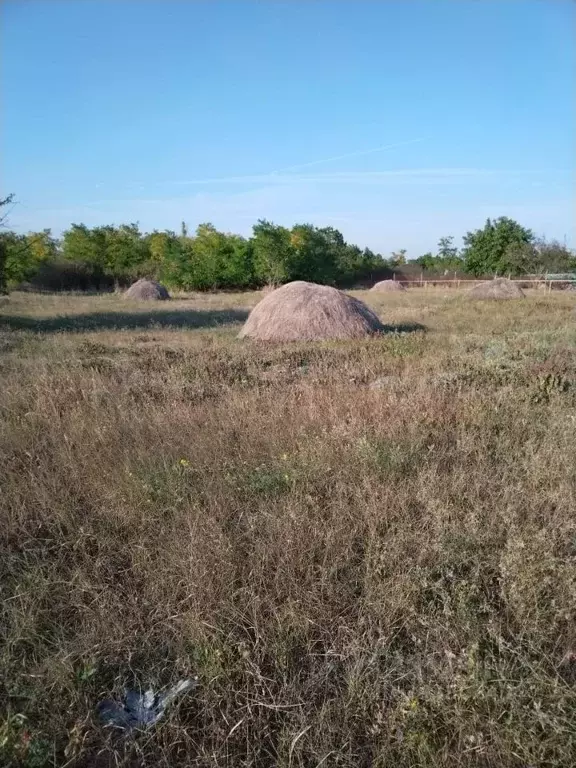 Участок в Ростовская область, Неклиновский район, с. Троицкое Миусский ... - Фото 0