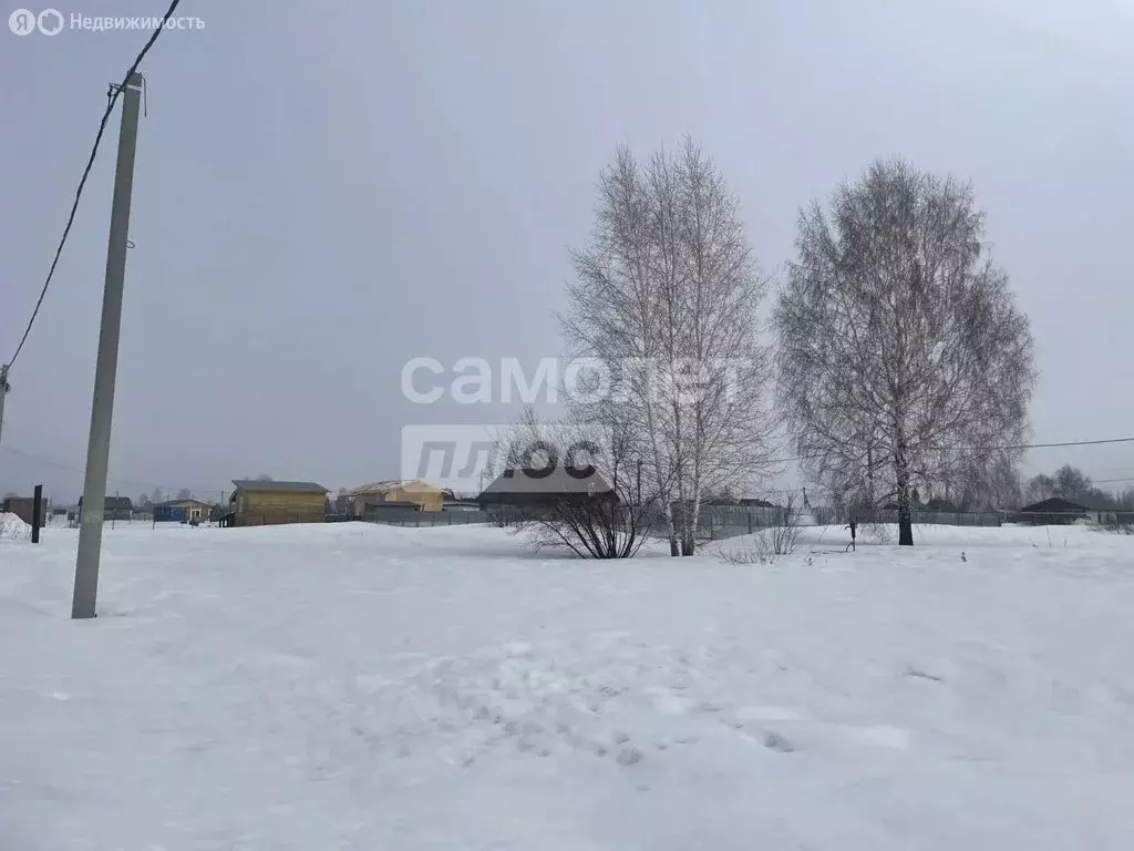 Участок в Новосибирская область, Коченёвский муниципальный район, СНТ ... - Фото 2