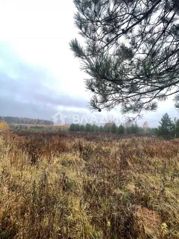 Участок в Владимирская область, Судогодский район, Лавровское ... - Фото 0