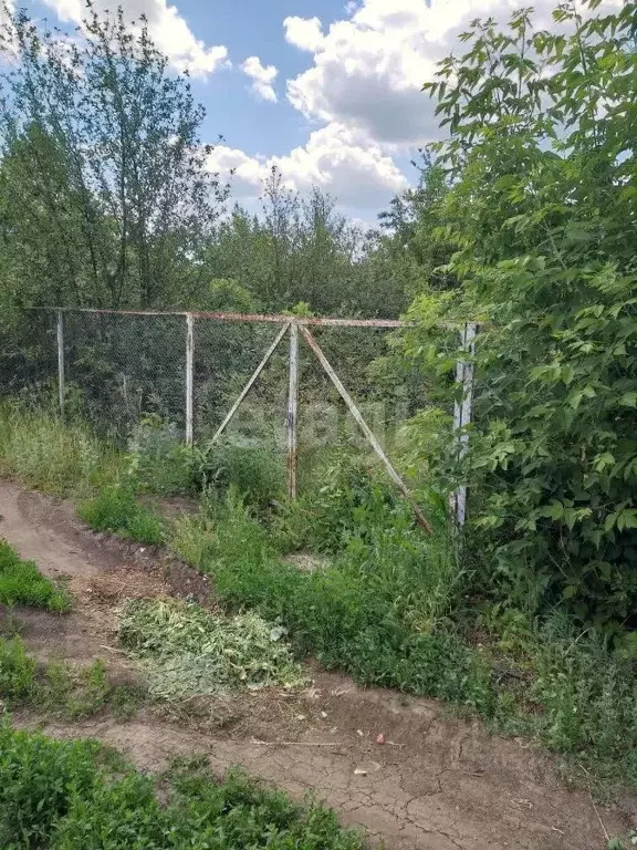 Участок в Ульяновская область, Ульяновск Южный СНТ,  (6.0 сот.) - Фото 2