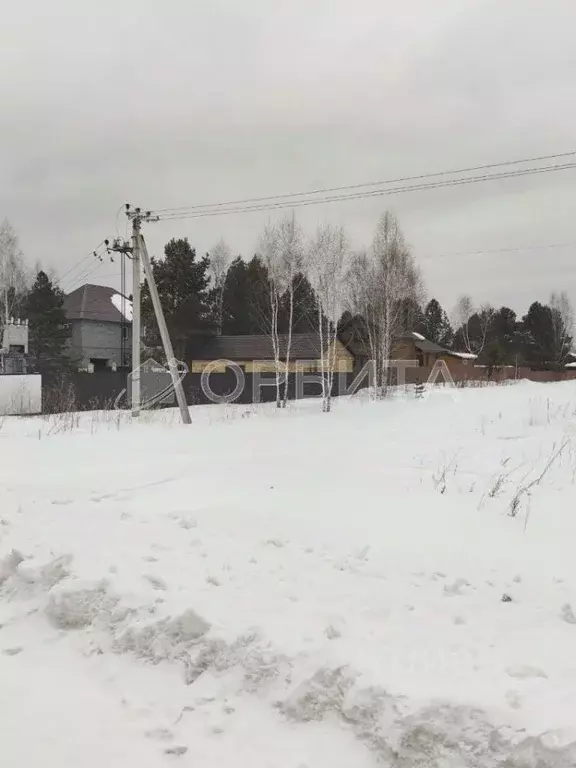 Участок в Тюменская область, Нижнетавдинский район, Царицыно СНТ ул. ... - Фото 1