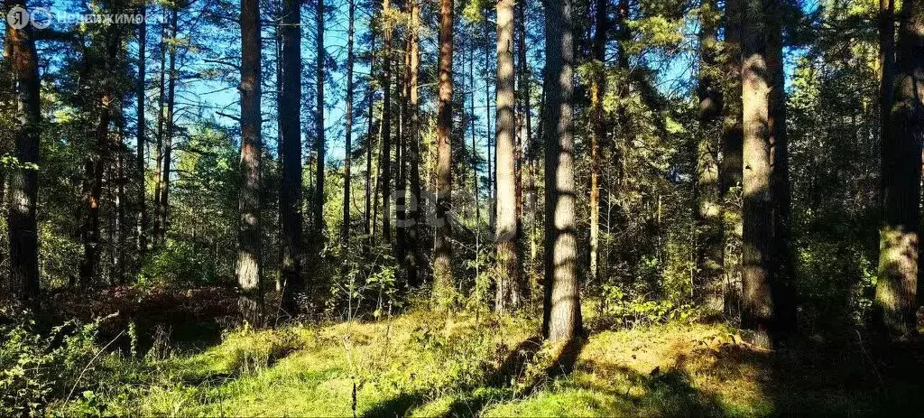 Участок в Тверская область, Калининский муниципальный округ, деревня ... - Фото 0