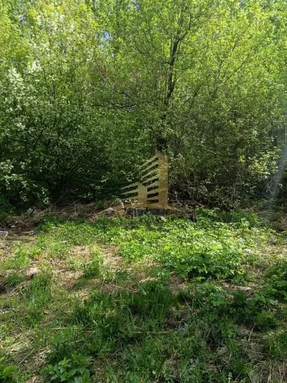 Участок в Новосибирская область, Новосибирск ул. Состязания, 14 (7.0 ... - Фото 1