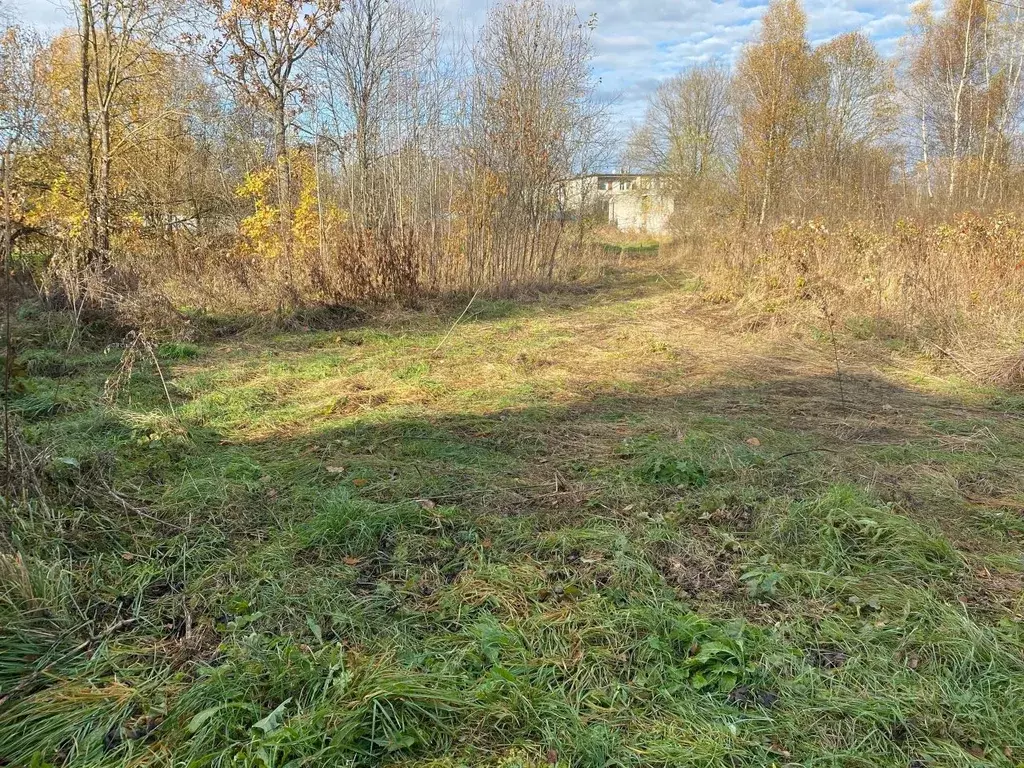 Участок в Тверская область, Кимрский муниципальный округ, д. Федоровка ... - Фото 1