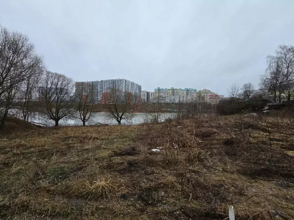 Продается участок в д. Пуговичино - Фото 1