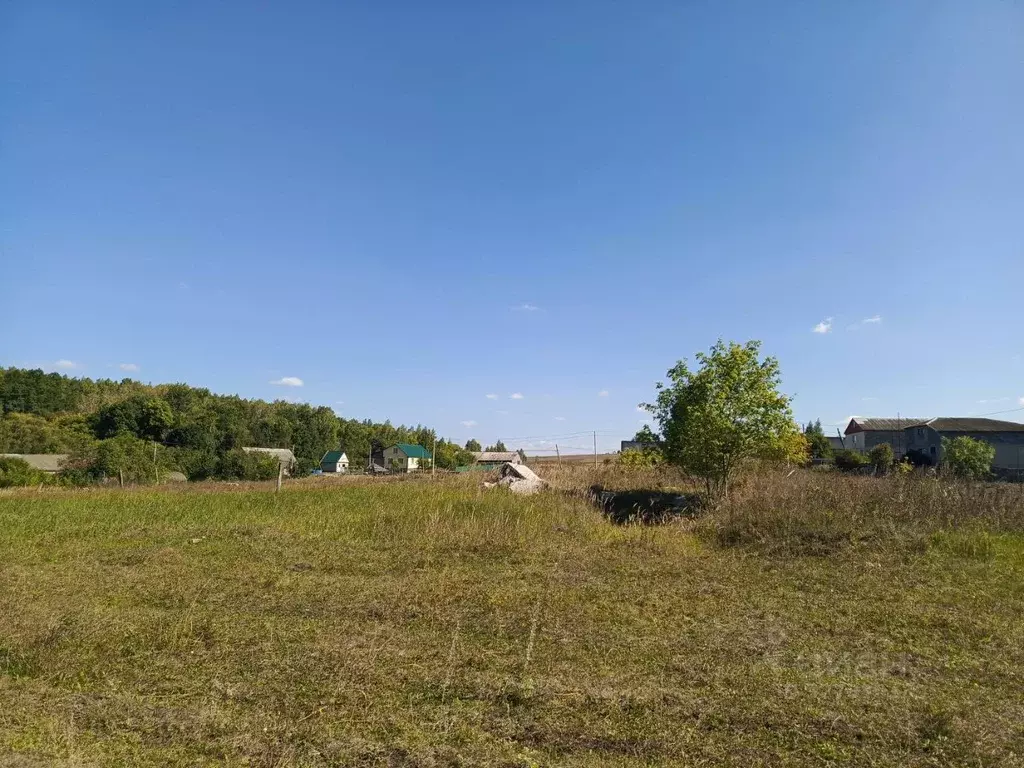 Участок в Мордовия, с. Кочкурово ул. Восточная, 15А (20.0 сот.) - Фото 1