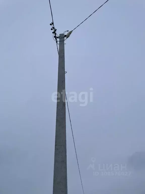 Участок в Владимирская область, Муром с. Ковардицы, ул. Сосновый Бор ... - Фото 1