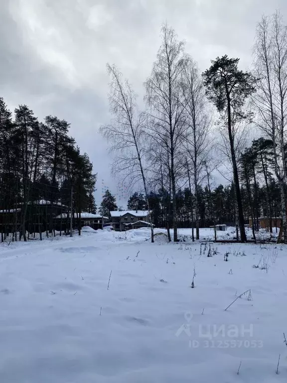 Участок в Нижегородская область, Володарский муниципальный округ, ... - Фото 1