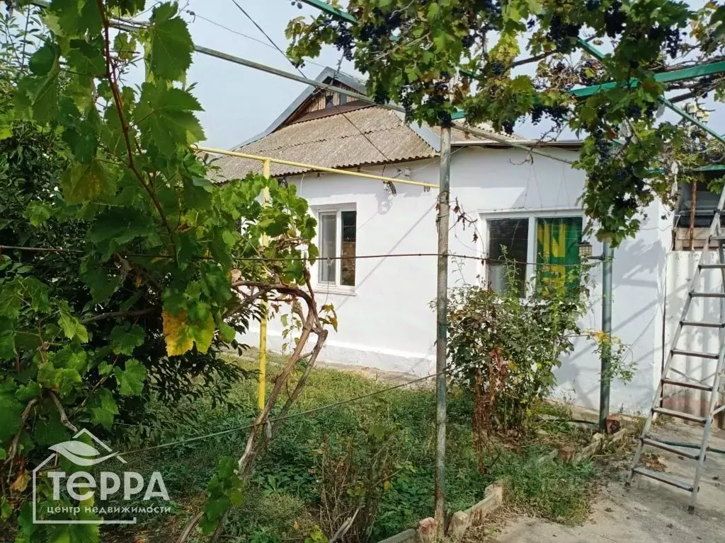 Дом в Крым, Сакский район, Ореховское с/пос, с. Михайловка ул. Ленина, ... - Фото 1