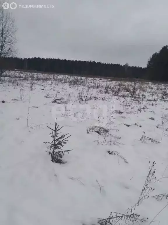 Участок в Ленинское сельское поселение, деревня Сунцовы (8.6 м) - Фото 1