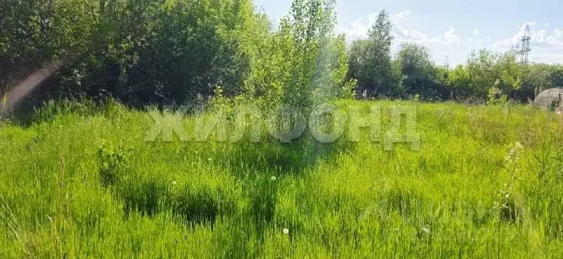 Участок в Красноярский край, Красноярск Энергетик СНТ,  (11.56 сот.) - Фото 1