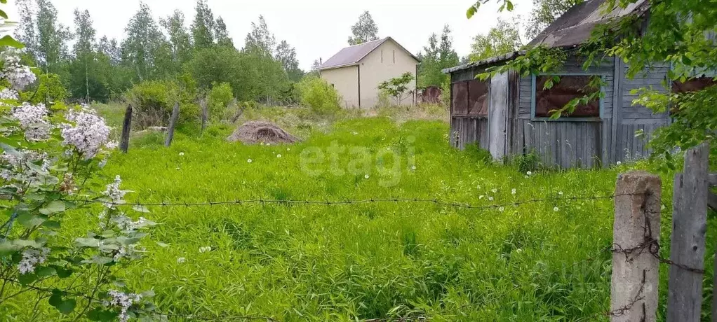 Дом в Хабаровский край, Хабаровский район, с. Скворцово, Скворцово СНТ ... - Фото 0