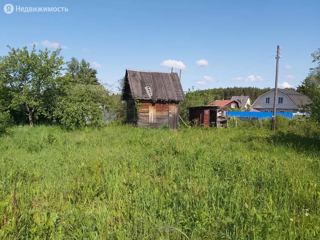 Купить Дачу Владимирская Область Александровский