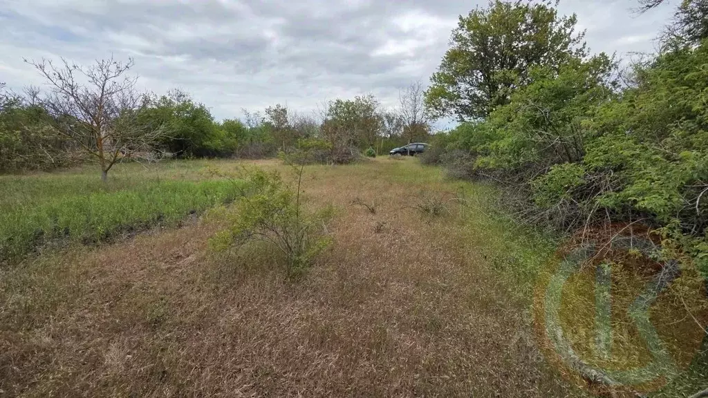 Участок в Крым, Сакский район, Митяевское с/пос, Учитель СНТ  (5.0 ... - Фото 1