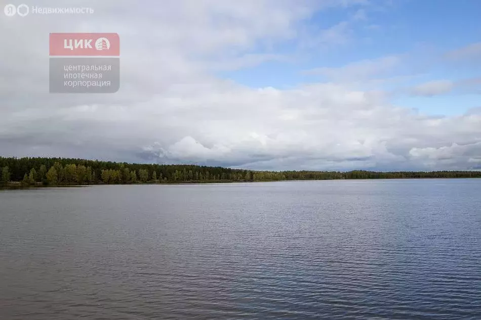 Участок в Рязанская область, Клепиковский муниципальный округ, деревня ... - Фото 1