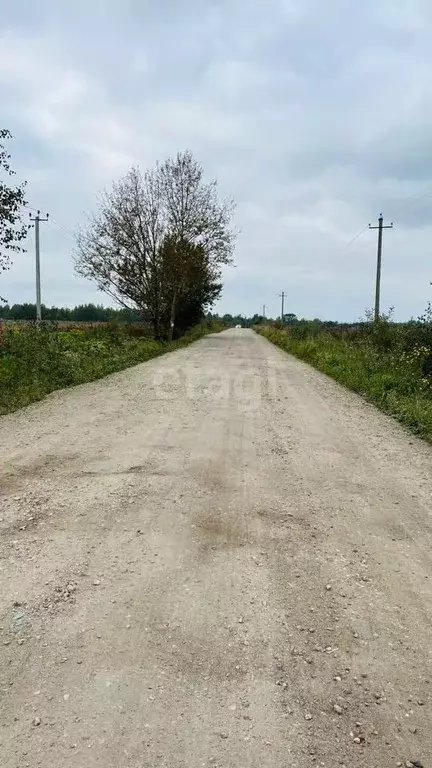 Участок в Ярославская область, Тутаевский район, Константиновское ... - Фото 1