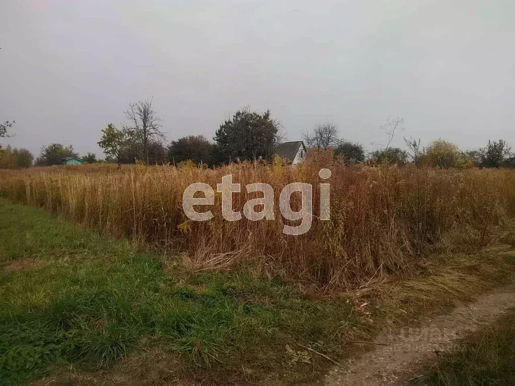 Участок в Брянская область, Стародуб Заря садоводческое товарищество,  ... - Фото 1