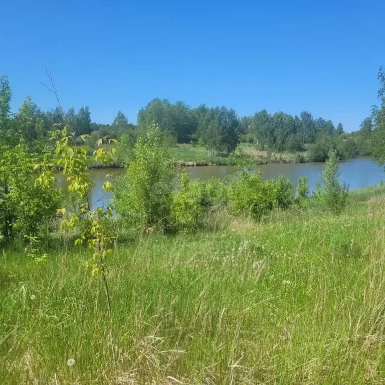 Участок в Владимирская область, Муром с. Панфилово, ул. Школьная, 112 ... - Фото 1