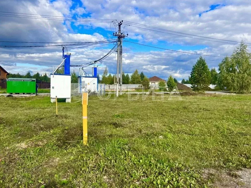 Участок в Тюменская область, Тюменский муниципальный округ, Москвичка ... - Фото 2