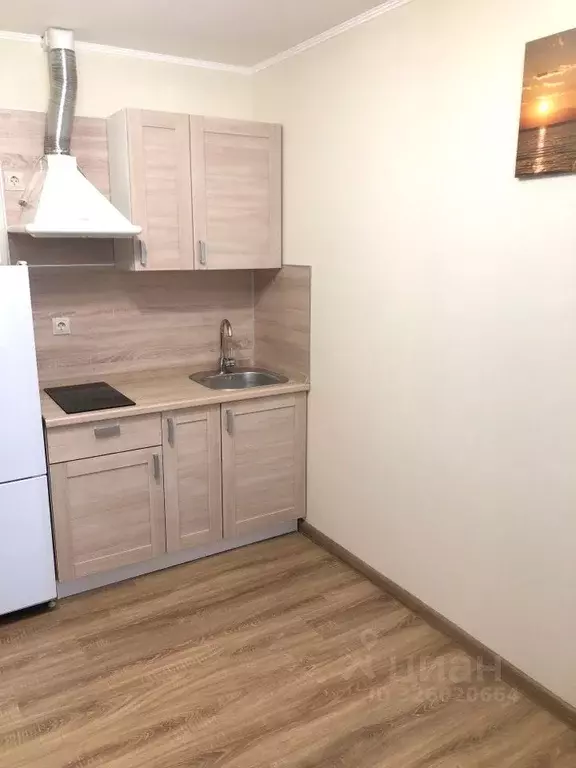 Студия Московская область, Красногорск городской округ, Путилково пгт ... - Фото 2