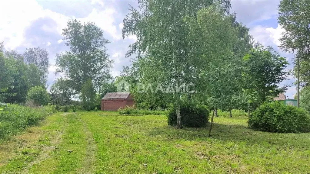 Участок в Владимирская область, Суздальский район, Селецкое ... - Фото 1