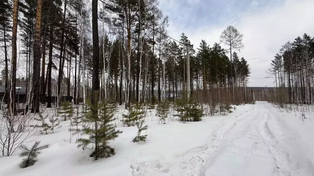 Участок в Иркутская область, Шелеховский район, Большелугское ... - Фото 1