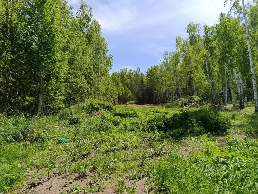 Участок в Челябинская область, Сосновский муниципальный округ, Городок ... - Фото 1