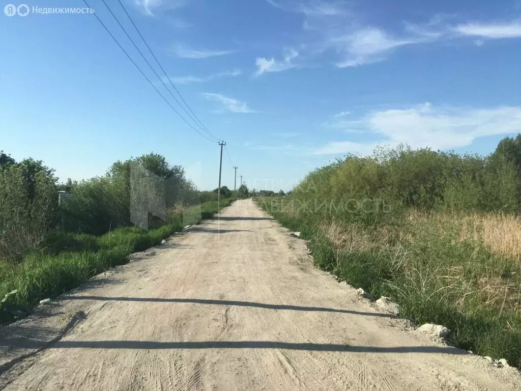 Участок в Тюмень, садовое товарищество Поле Чудес, Виноградная улица, ... - Фото 0