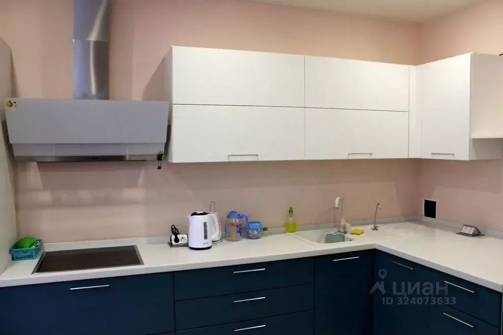 2-к кв. Свердловская область, Екатеринбург ул. Репина, 52 (65.0 м) - Фото 2