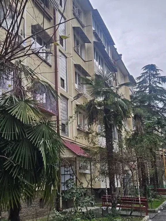 1-к кв. Краснодарский край, Сочи Туапсинская ул., 17 (32.0 м) - Фото 1