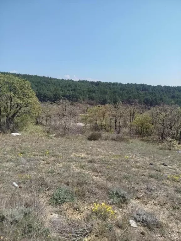 Участок в Севастополь ул. Федоровская (10.1 сот.) - Фото 2