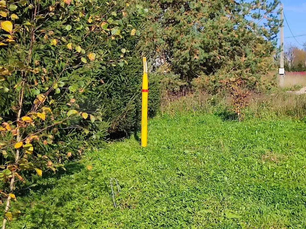 Участок в Новгородская область, Новгородский район, Трубичинское ... - Фото 1