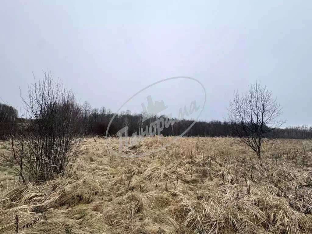 Участок в Калужская область, Юхновский муниципальный округ, ... - Фото 2