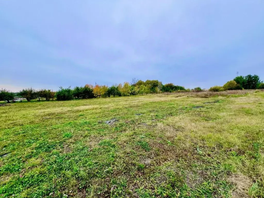 Участок в Курская область, Курский район, Нижнемедведицкий сельсовет, ... - Фото 2