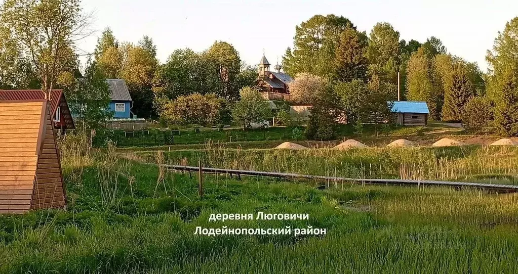 Участок в Ленинградская область, Лодейнопольский район, Алеховщинское ... - Фото 1