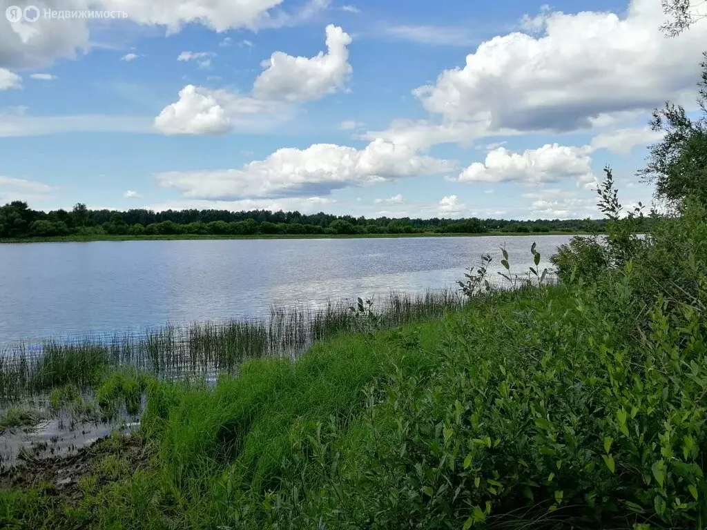 Участок в Осьминское сельское поселение, деревня Извоз (1782 м) - Фото 2