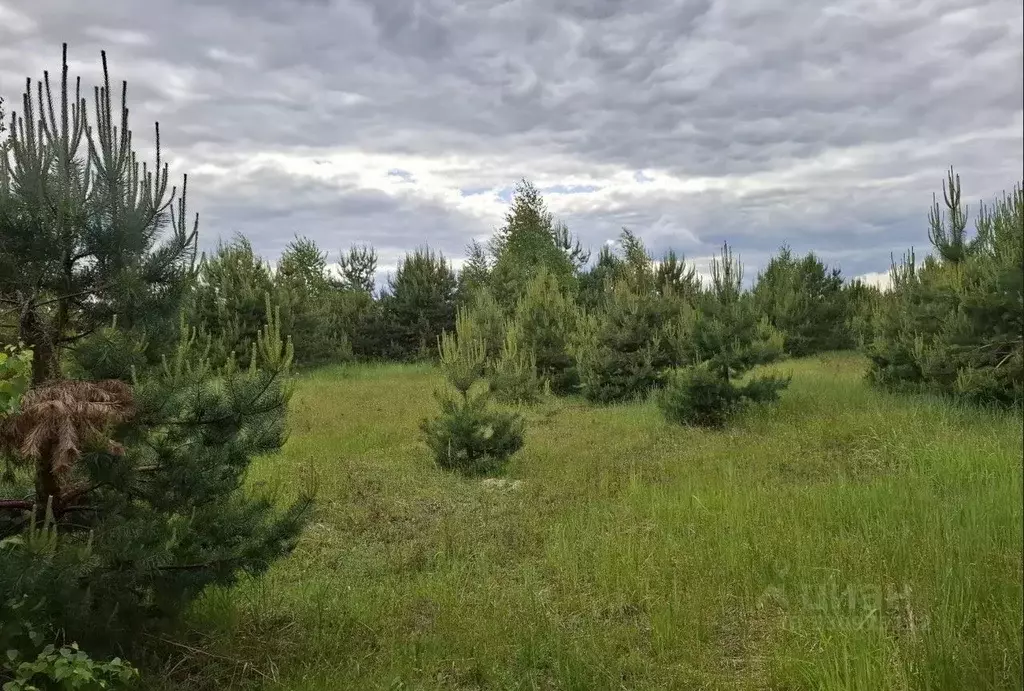 Участок в Московская область, Орехово-Зуевский городской округ, д. ... - Фото 1